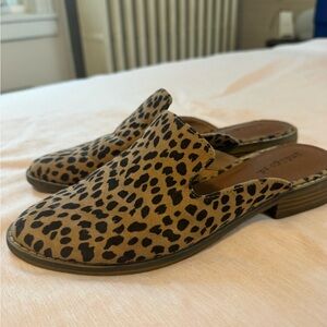 Indigo Rd. Cheetah Print Mule 7M
